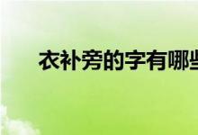 衣补旁的字有哪些（衣字旁有什么字）