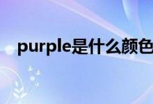 purple是什么颜色（科普purple的意思）