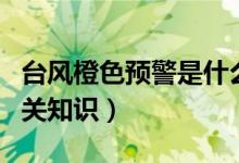 台风橙色预警是什么级别（台风橙色预警的相关知识）