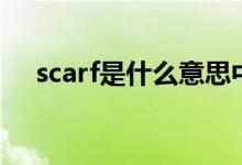 scarf是什么意思中文（scarf什么意思）