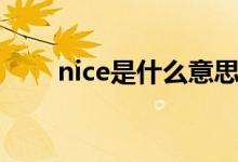 nice是什么意思中文（nice的用法）