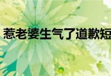 惹老婆生气了道歉短信（经典情侣道歉短信）