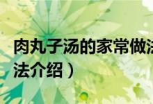 肉丸子汤的家常做法简单（肉丸子汤的家常做法介绍）