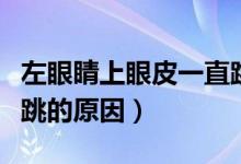 左眼睛上眼皮一直跳怎么回事（左眼睛上眼皮跳的原因）