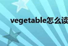 vegetable怎么读（vegetable如何读）