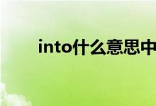 into什么意思中文（into什么意思）