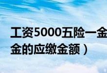 工资5000五险一金扣多少（工资5000五险一金的应缴金额）