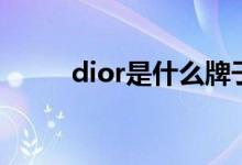 dior是什么牌子（dior牌子简述）