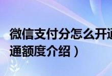 微信支付分怎么开通额度（微信支付分怎么开通额度介绍）