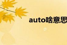 auto啥意思（auto的意思）