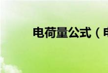 电荷量公式（电荷量公式是什么）