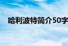 哈利波特简介50字（哈利波特简介50字）