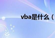 vba是什么（关于vba的简介）