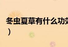 冬虫夏草有什么功效（冬虫夏草的功效是什么）