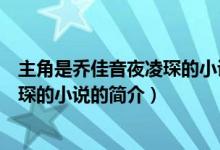 主角是乔佳音夜凌琛的小说叫什么名字（主角是乔佳音夜凌琛的小说的简介）