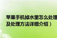 苹果手机掉水里怎么处理（苹果iphone手机掉水里怎么办及处理方法详细介绍）