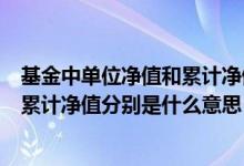 基金中单位净值和累计净值是什么意思（基金中单位净值和累计净值分别是什么意思）