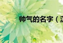 帅气的名字（沉稳帅气名字大全）