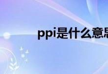 ppi是什么意思啊（ppi的意思）