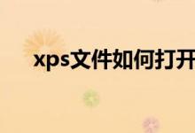 xps文件如何打开（xps文件怎么打开）