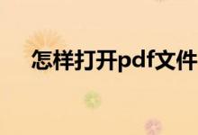 怎样打开pdf文件（PDF文件怎么打开）