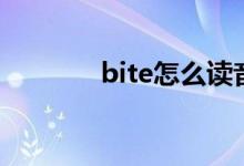 bite怎么读音（bite的意思）