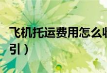 飞机托运费用怎么收费（飞机托运费用收费指引）