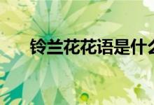 铃兰花花语是什么（这个你了解过吗）