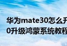 华为mate30怎么升级鸿蒙系统（华为mate30升级鸿蒙系统教程）