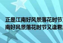 正是江南好风景落花时节又逢君的君的意思是什么（正是江南好风景落花时节又逢君原文）