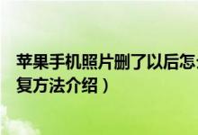 苹果手机照片删了以后怎么恢复（苹果手机里的照片删了恢复方法介绍）