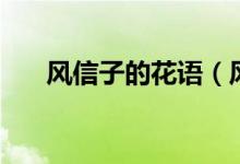 风信子的花语（风信子的花语是什么）