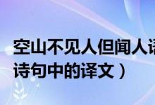 空山不见人但闻人语响的但是什么意思（但在诗句中的译文）