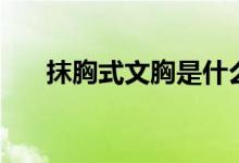 抹胸式文胸是什么（抹胸式文胸介绍）