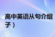 高中英语从句介绍（高中英语从句的介绍及例子）