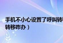 手机不小心设置了呼叫转移怎么办（手机不小心设置了呼叫转移咋办）