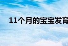 11个月的宝宝发育标准（需要注意什么）