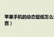 苹果手机的动态壁纸怎么设置（苹果手机的动态壁纸如何设置）