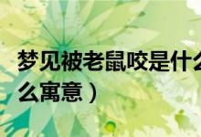 梦见被老鼠咬是什么意思（梦见被老鼠咬是什么寓意）