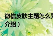 微信皮肤主题怎么弄（微信皮肤主题设置方法介绍）