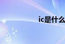 ic是什么（ic的资料）