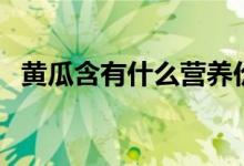 黄瓜含有什么营养价值（黄瓜的营养价值）