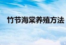 竹节海棠养殖方法（5步教你养竹节海棠）