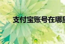 支付宝账号在哪里看（账号如何查看）