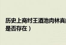 历史上商纣王酒池肉林真的存在吗（历史上商纣王酒池肉林是否存在）