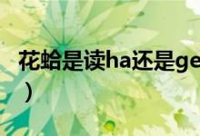 花蛤是读ha还是ge（关于花蛤是读ha还是ge）