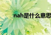 nah是什么意思（nah是氢化钠吗）