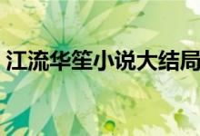 江流华笙小说大结局（让人意想不到的情节）