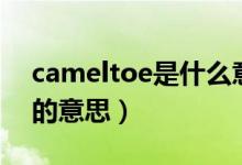 cameltoe是什么意思（怎么理解cameltoe的意思）