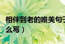 相伴到老的唯美句子（相伴到老的唯美句子怎么写）